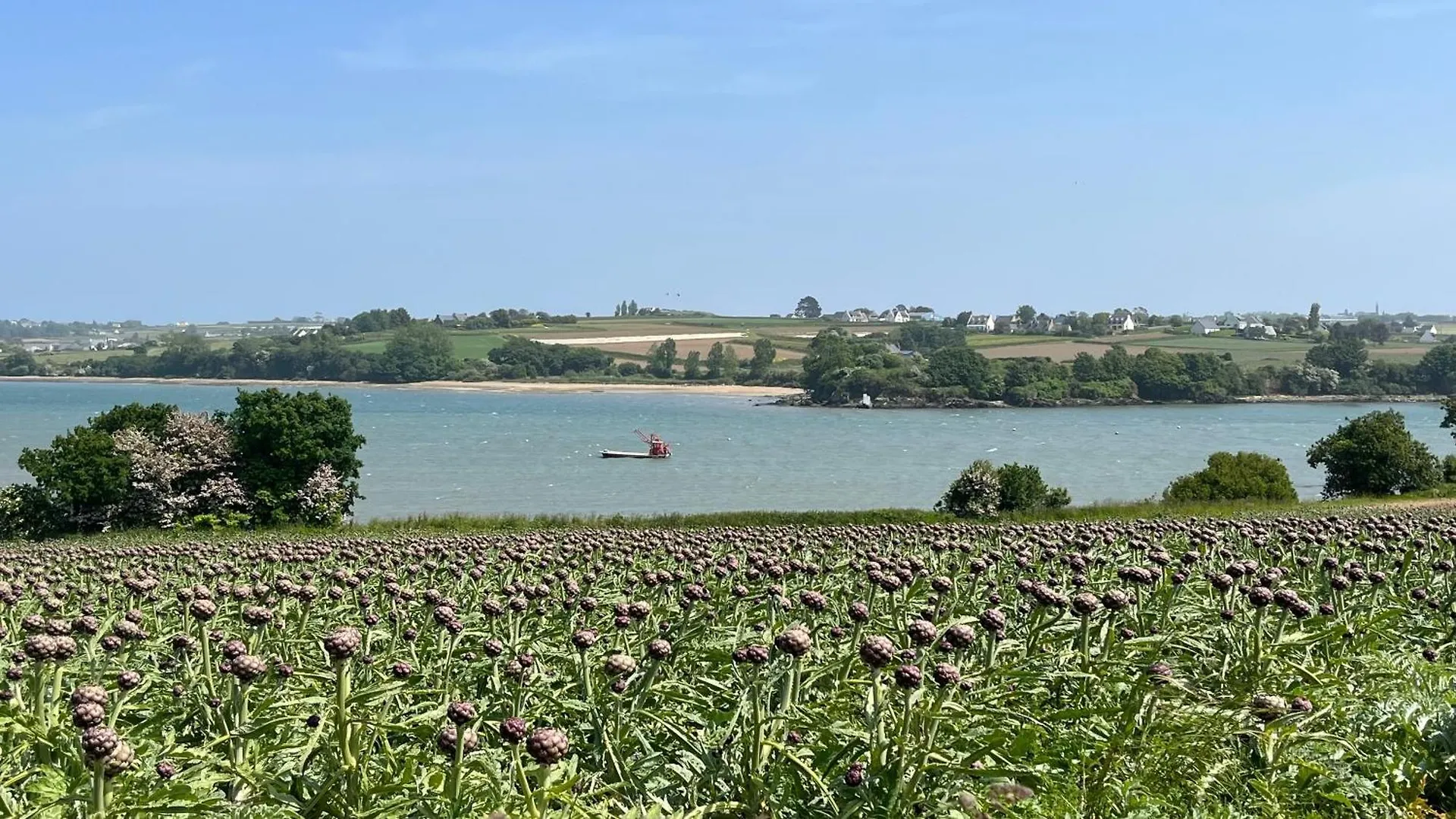 Appartement Dans Une Maison Avec Entree Independante A 500M De La Plage Santec France
